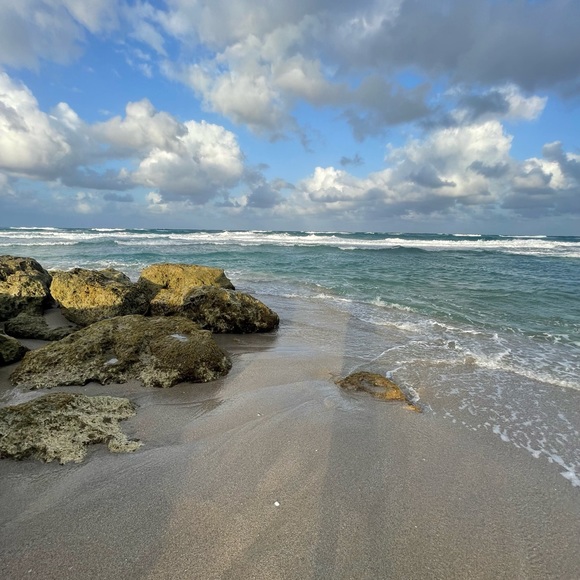 Meet your Posher, Kirstie - Picture 1 of 1